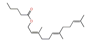 (E,E)-3,7,11-Trimethyl-2,6,10-dodecatrienyl pentanoate